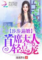 �����ƻ飺��ϯ���ˣ�����